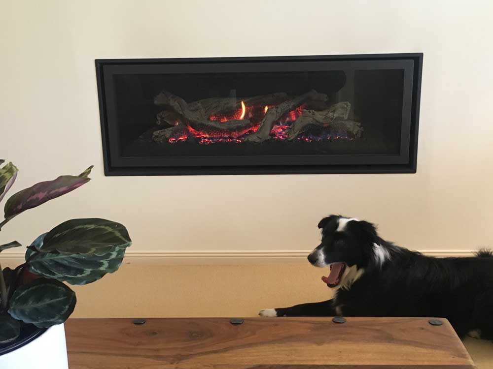 A dog relaxing by a Regency Greenfire GF1500L Gas Fire in Melbourne, enjoying cosy warmth from an affordable gas fireplace